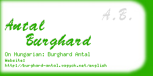 antal burghard business card